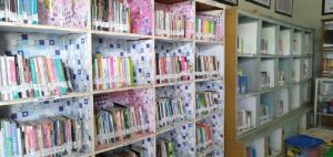 Perpusdes Al Hurriyah, Pelopor Literasi Desa