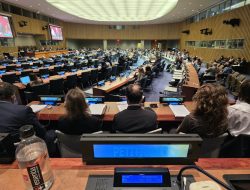 GREAT Institute: Integrasi Papua ke Indonesia Sudah Sah di Mata Hukum Internasional